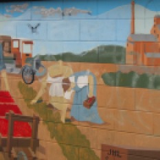 A mural at Birkdale Primary School depicts the areas settler history.